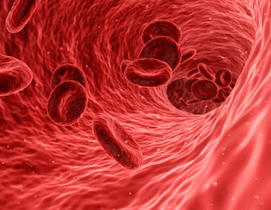 blood