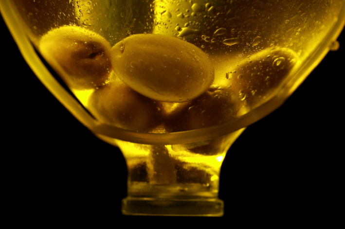 Healthy Olive Oil